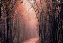 【足球】周四007欧协联淘汰赛推荐:哥本哈根VS海登海姆.