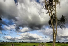 pp电子娱乐官网:CBA:客场大胜 山东高速男篮121-89广州朗肽海本男篮.