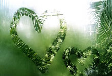 90亿人次的流动 2025年春运热点前瞻.