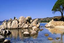 pp电子娱乐官网:黑龙江省七部门联合对亚冬会知识产权全方位保护.